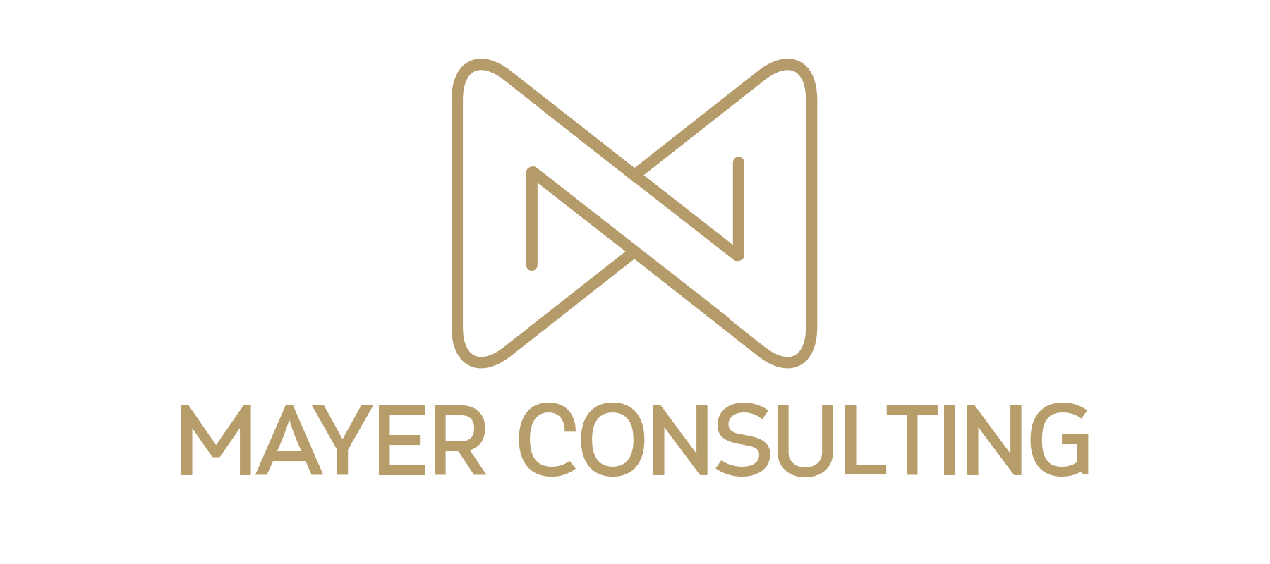 MAYER Consulting